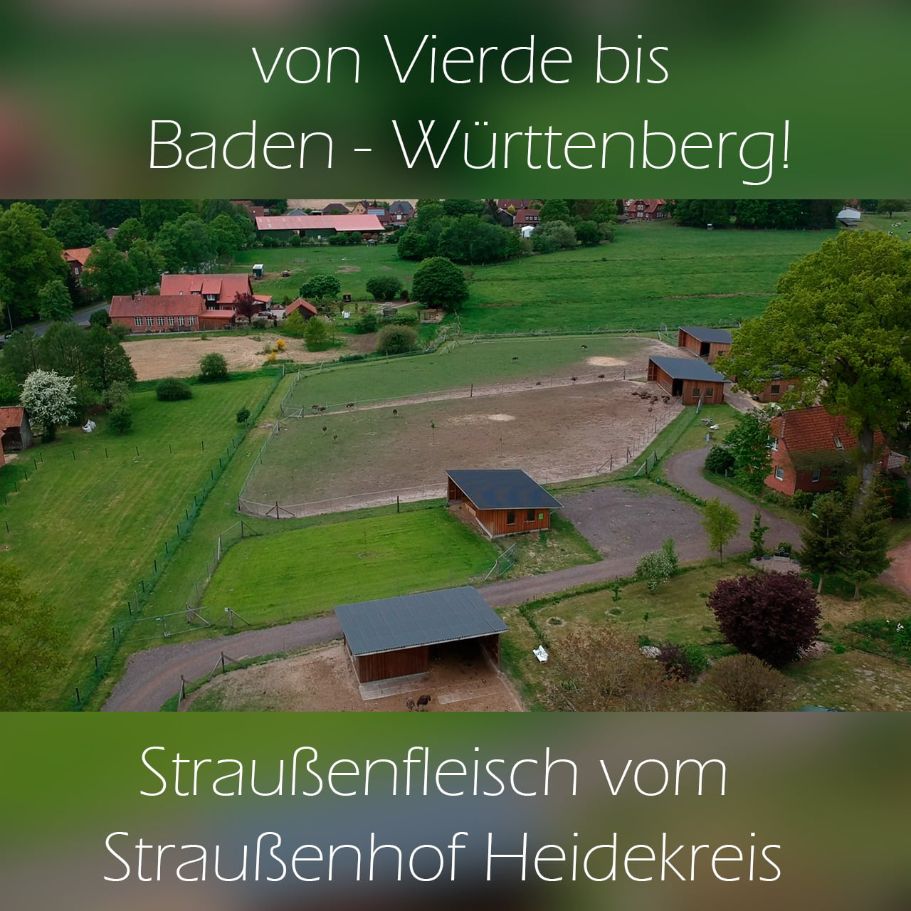 Kann man Straußenfleisch in Baden-Württemberg kaufen?